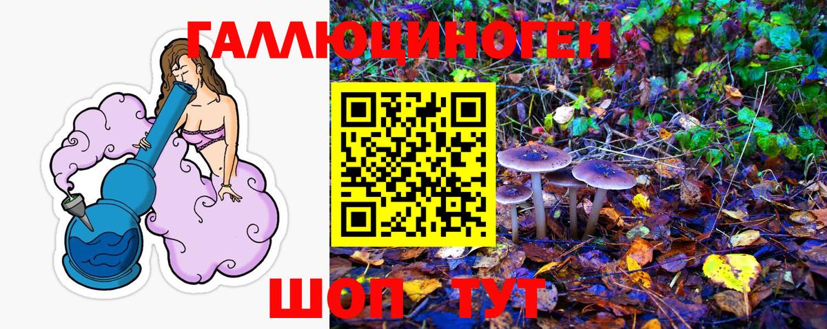 Галлюциногенные грибы Psilocybe Чехов