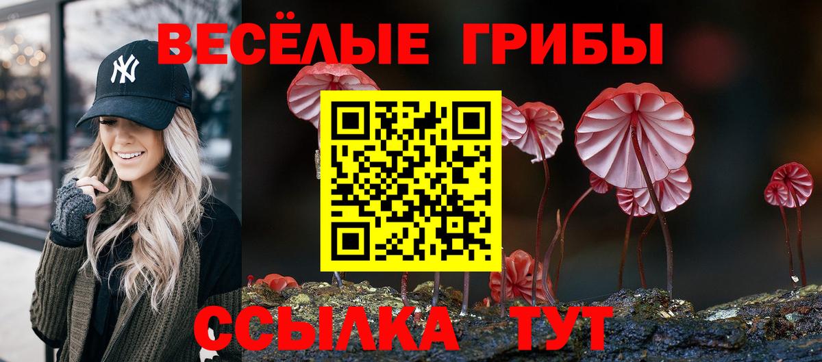 Чехов  Псилоцибиновые грибы GOLDEN TEACHER  Вход с VPN 